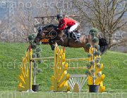 Bonomelli Castigo TosTour2013- S5 2672 : Arezzo, Arezzo Equestrian Centre, Bonomelli Omar, Castigo della Caccia, Toscana Tour 2013, foto di Stefano Secchi ©